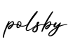 单词polsby书写