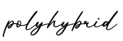 单词polyhybrid书写