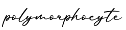 单词polymorphocyte书写