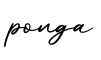 单词ponga书写