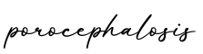单词porocephalosis书写
