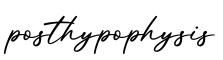单词posthypophysis书写