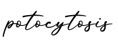 单词potocytosis书写