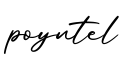 单词poyntel书写