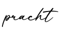单词pracht书写