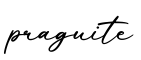 单词praguite书写