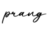 单词prang书写