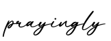 单词prayingly书写
