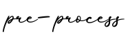 单词pre-process书写