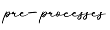 单词pre-processes书写