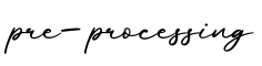 单词pre-processing书写
