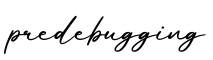 单词predebugging书写