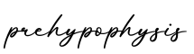 单词prehypophysis书写