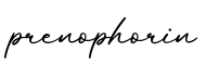 单词prenophorin书写