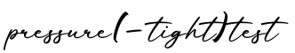 单词pressure(-tight)test书写