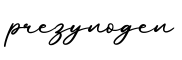 单词prezynogen书写