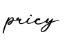 单词pricy书写