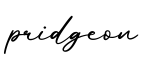 单词pridgeon书写