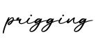 单词prigging书写