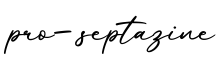 单词pro-septazine书写
