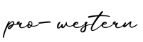 单词pro-western书写