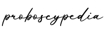 单词proboscypedia书写