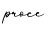 单词proce书写