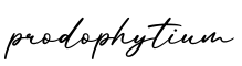 单词prodophytium书写