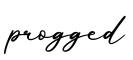 单词progged书写