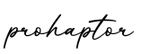 单词prohaptor书写