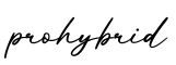 单词prohybrid书写