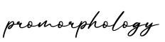 单词promorphology书写