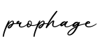 单词prophage书写