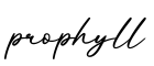 单词prophyll书写