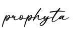 单词prophyta书写