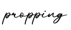 单词propping书写