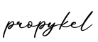 单词propykel书写