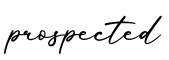 单词prospected书写