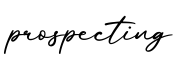 单词prospecting书写