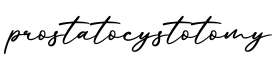 单词prostatocystotomy书写