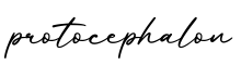 单词protocephalon书写