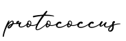 单词protococcus书写
