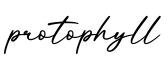 单词protophyll书写