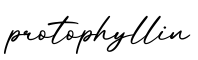 单词protophyllin书写