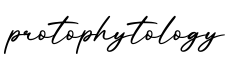 单词protophytology书写