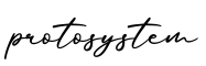 单词protosystem书写