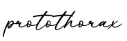 单词protothorax书写