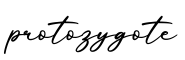 单词protozygote书写