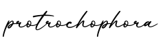 单词protrochophora书写