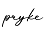 单词pryke书写
